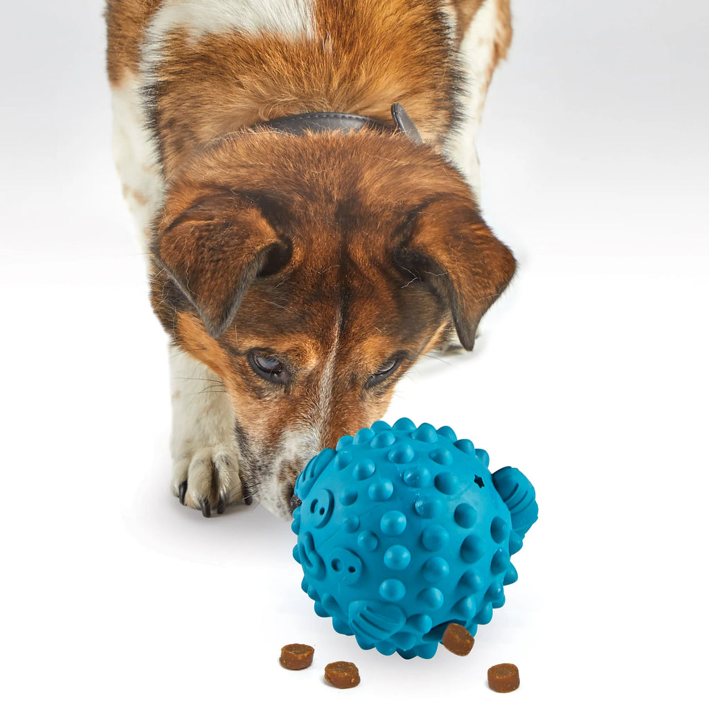 Brightkins Dog Toy Tough & Tumble Pufferfish Treat Dispenser