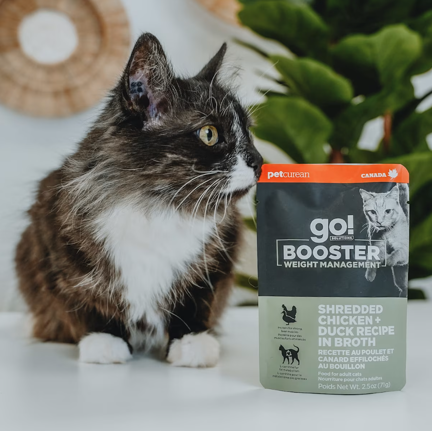 Go Cat Booster Weight Management Shredded Chicken + Duck in Broth