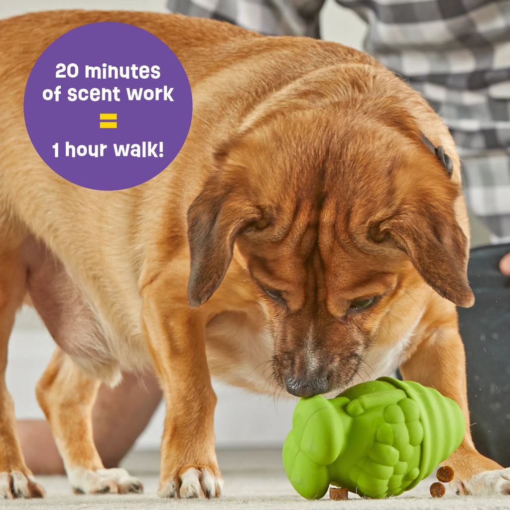 Brightkins Dog Toy Tough & Tumble Gnome Treat Dispenser