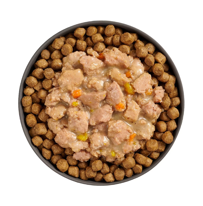Go Cat Booster Brain Minced Chicken + Salmon w/Gravy