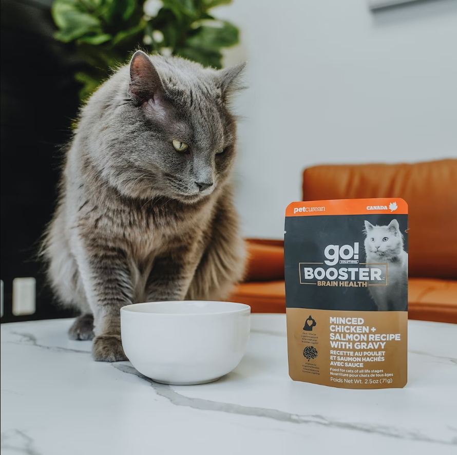 Go Cat Booster Brain Minced Chicken + Salmon w/Gravy