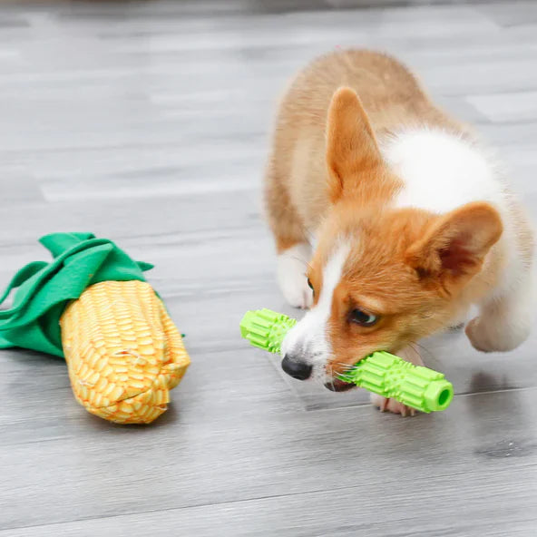 Injoya Corn on the Cob Snuffle Toy