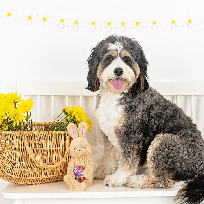 Fringe Dog Toy Hop To It