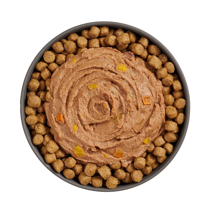 Go Cat Booster Digestive Tuna + Salmon Pate