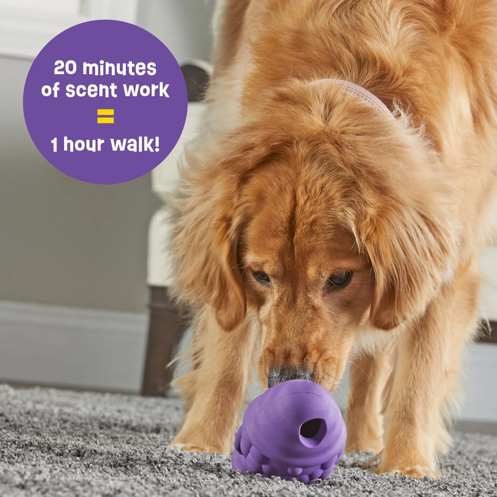 Brightkins Dog Toy Tough & Tumble Gnome Treat Dispenser