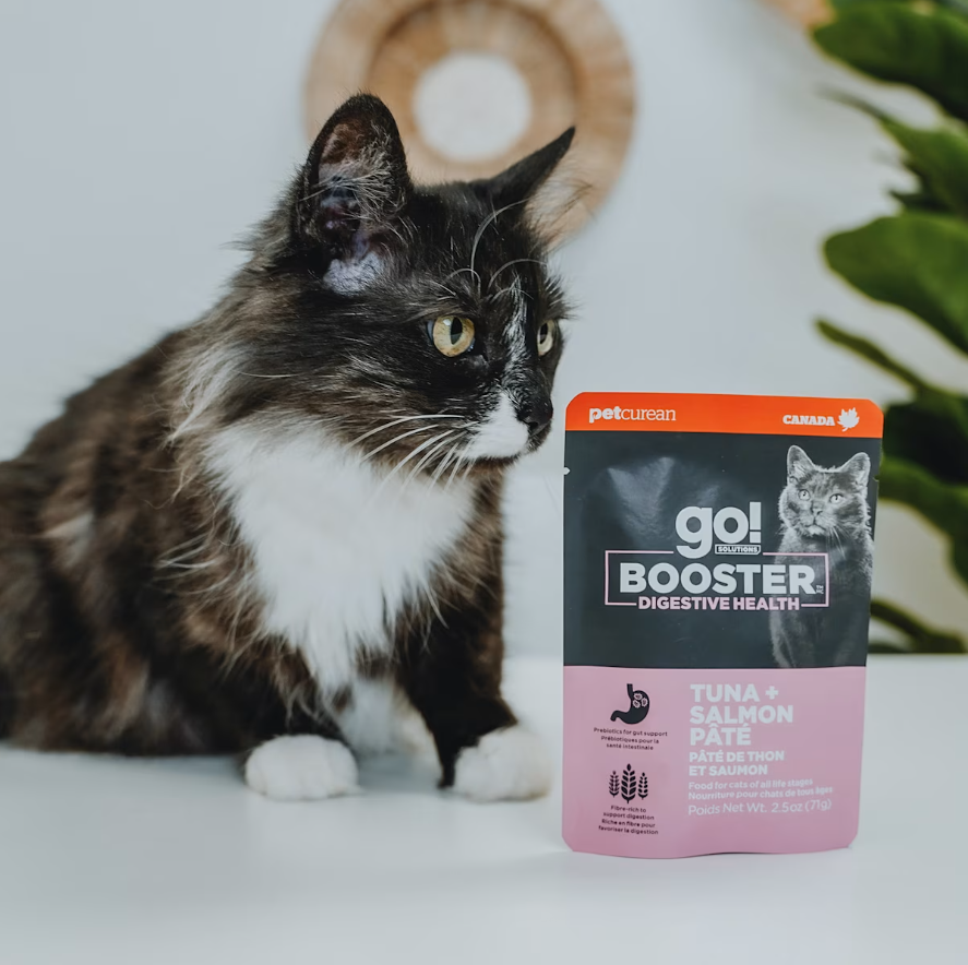 Go Cat Booster Digestive Tuna + Salmon Pate