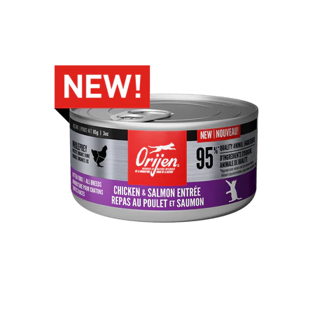 Orijen Cat Can Chicken & Salmon Entree Kitten