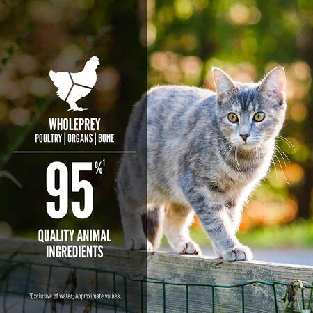 Orijen Cat Can Duck & Chicken Entree