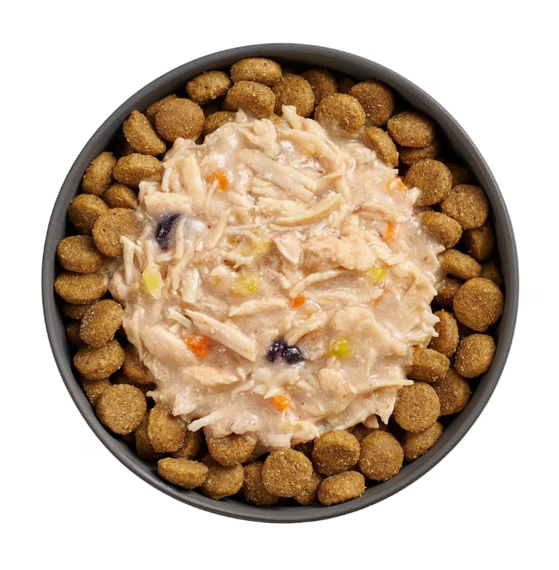 Go Dog Booster Immune Shredded Chicken + Salmon in Broth