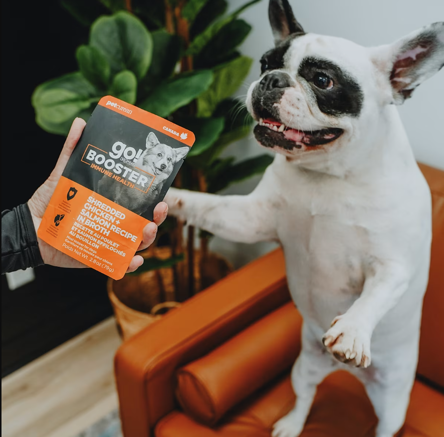 Go Dog Booster Immune Shredded Chicken + Salmon in Broth