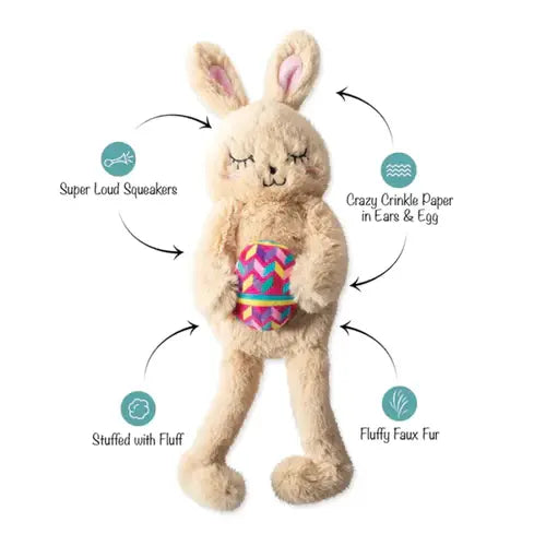 Fringe Dog Toy Hop To It