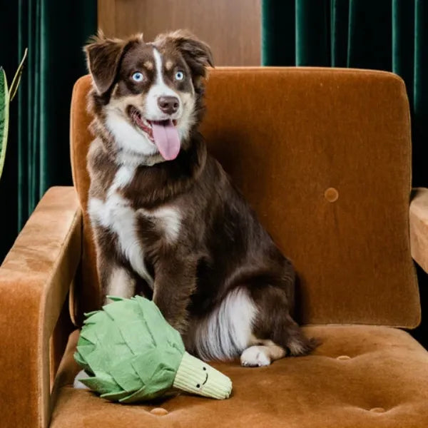 Injoya Artichoke Snuffle Toy
