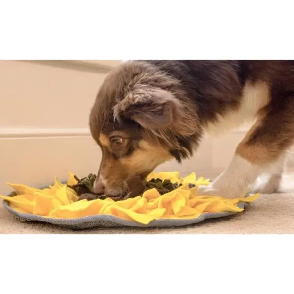 Injoya Sunflower Snuffle Mat