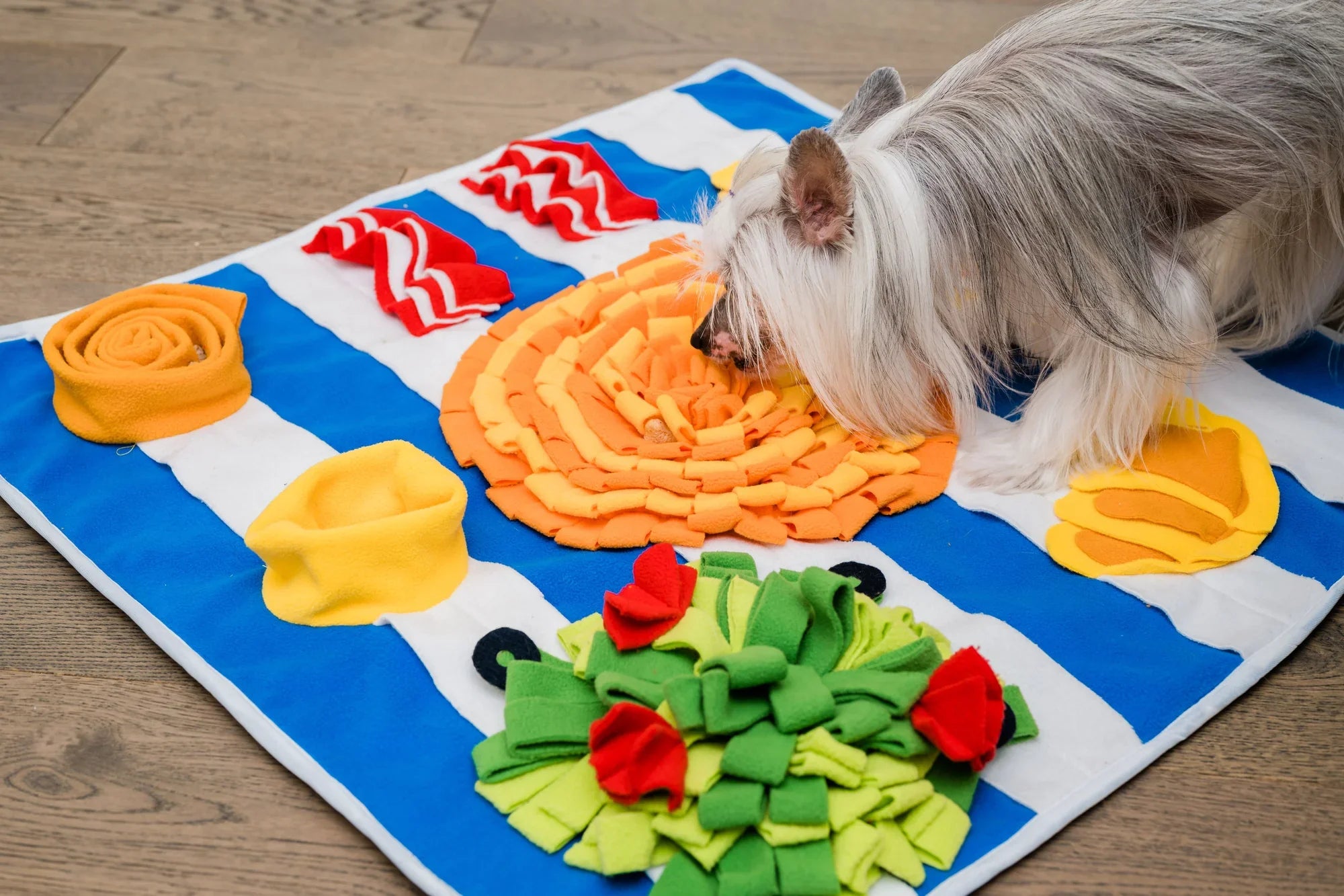 Injoya Breakfast Snuffle Mat